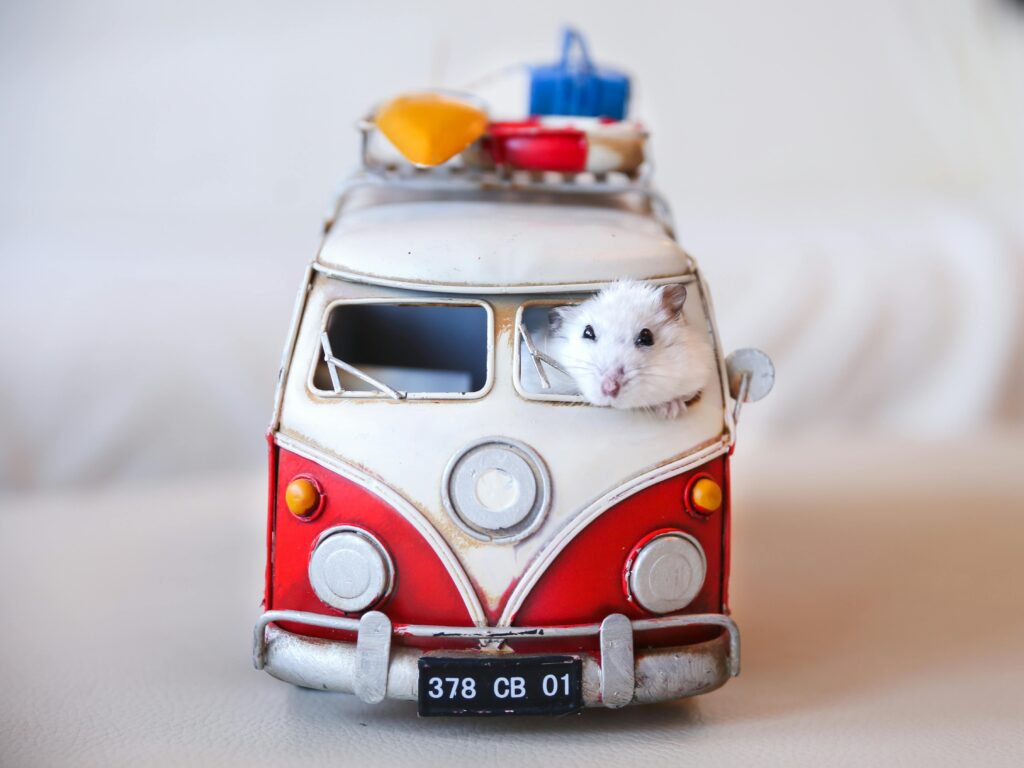 A tiny white mouse peeking out of a toy Volkswagen van with travel gear, creating a playful scene.